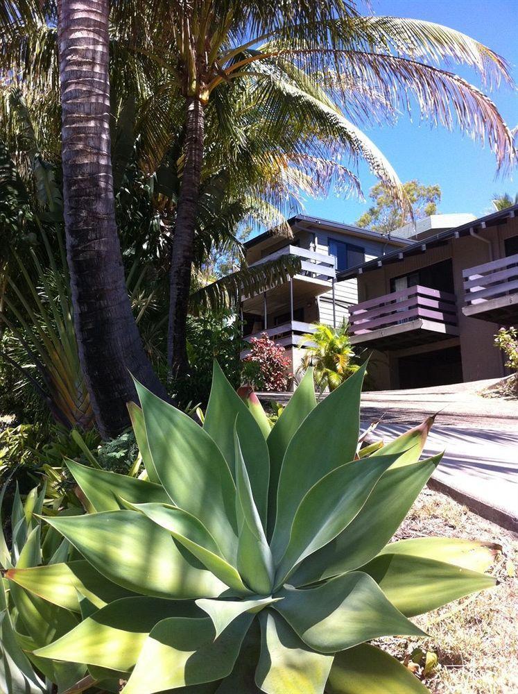 Villa Unit 1 Sunbird On Lamond à Airlie Beach Extérieur photo